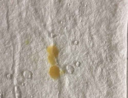 Cotton Felt for Oil Spills
